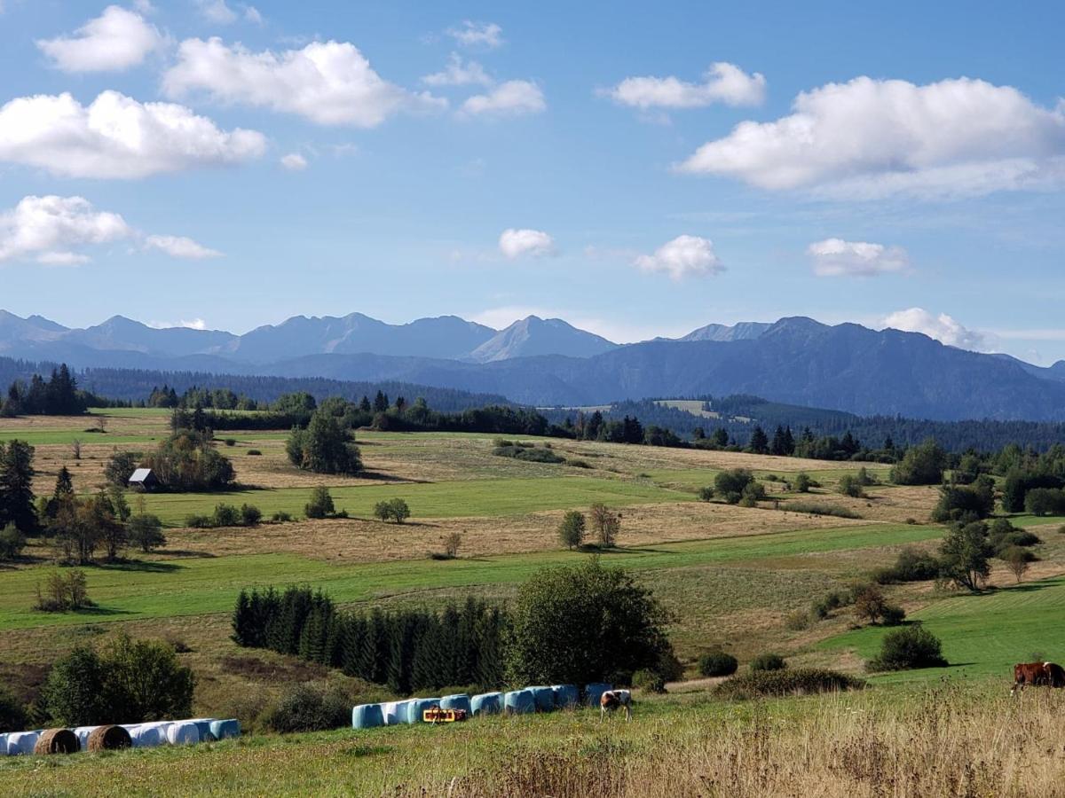 Domki I Pokoje Obok Term Chocholow U Tadka Esterno foto